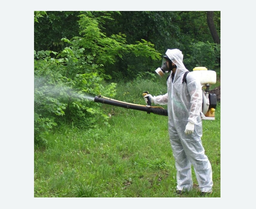 обработка территории от клещей в Бугульме