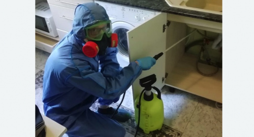 Уничтожение муравьев в квартире. Бугульма