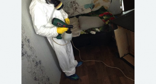 Обработка квартир от насекомых в Бугульме