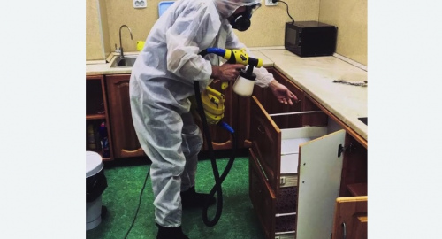 Дезинсекция квартиры. Бугульма