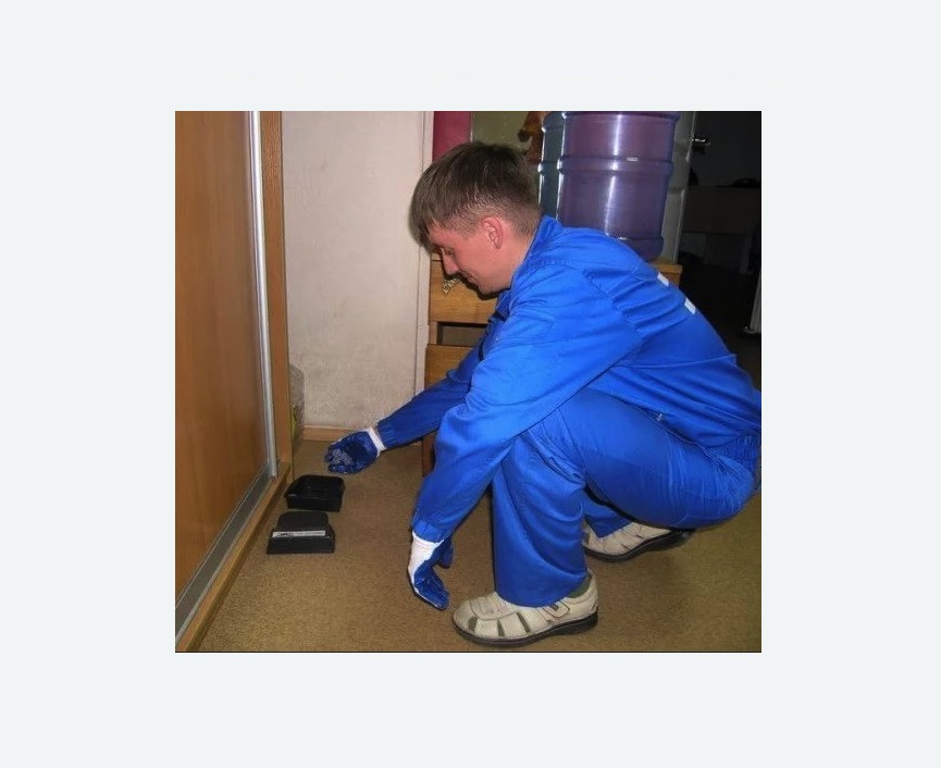 Дератизация крыс в Бугульме