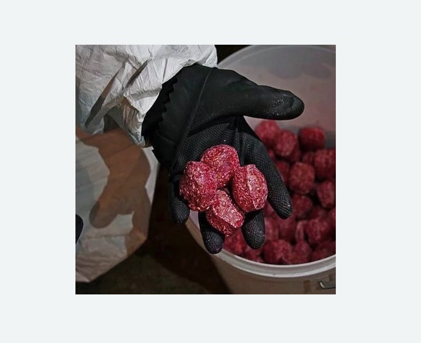 Обработка от крыс в Бугульме