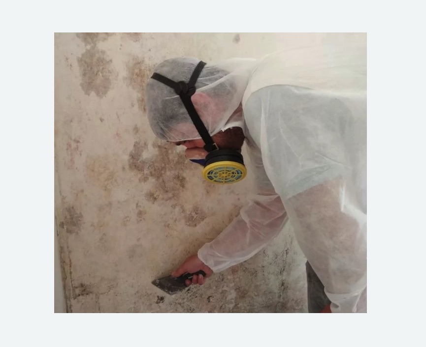 Обработка стен от плесени в Бугульме