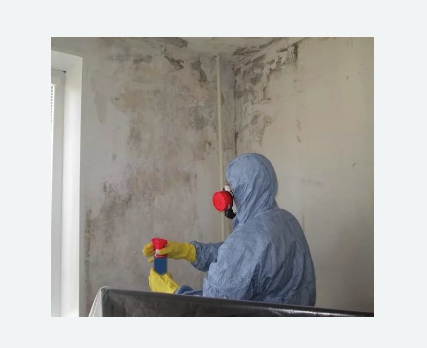 Удаление плесени в квартире в Бугульме