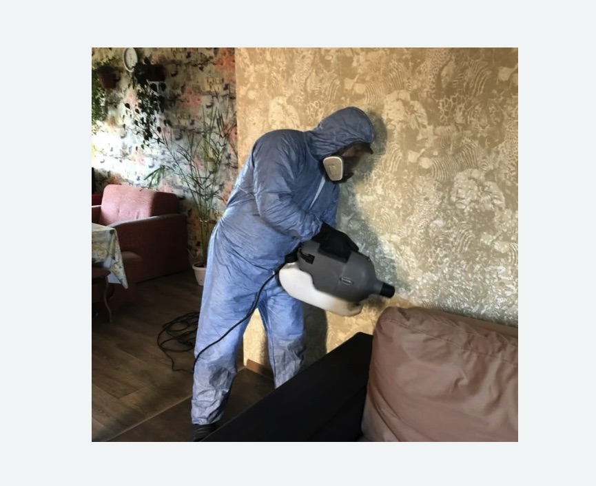 Уничтожение блох в квартире. Бугульма Уничтожение блох в квартире