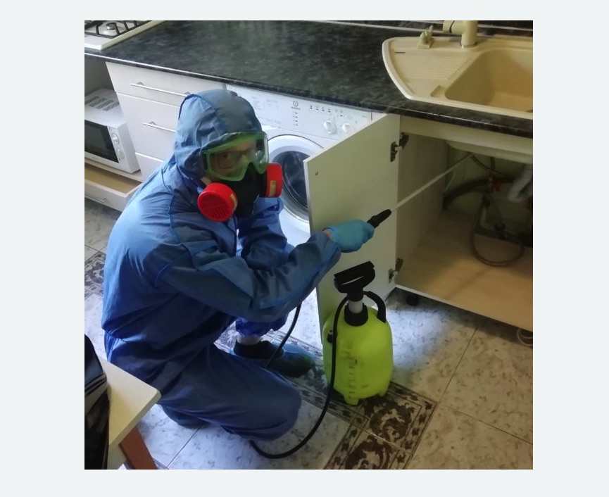 обработка от муравьев в квартире в Бугульме