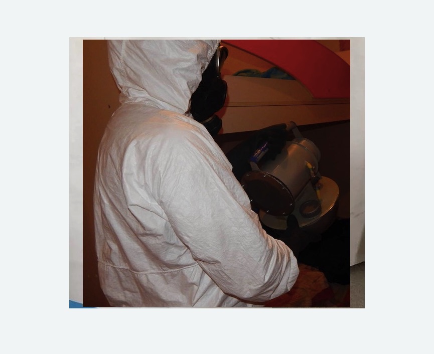 Дезинфекция от муравьев в Бугульме